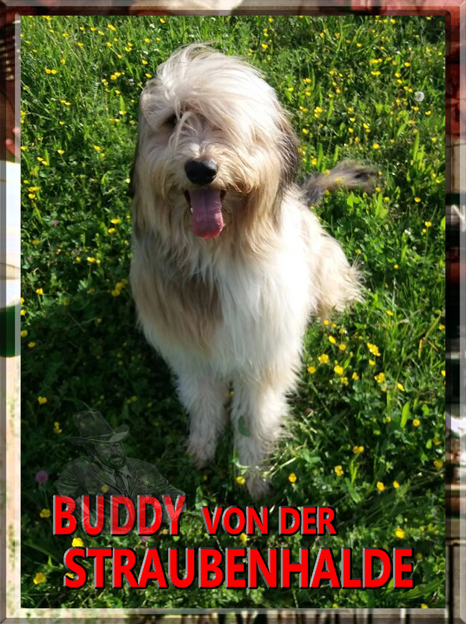 Wäller von der Straubenhalde